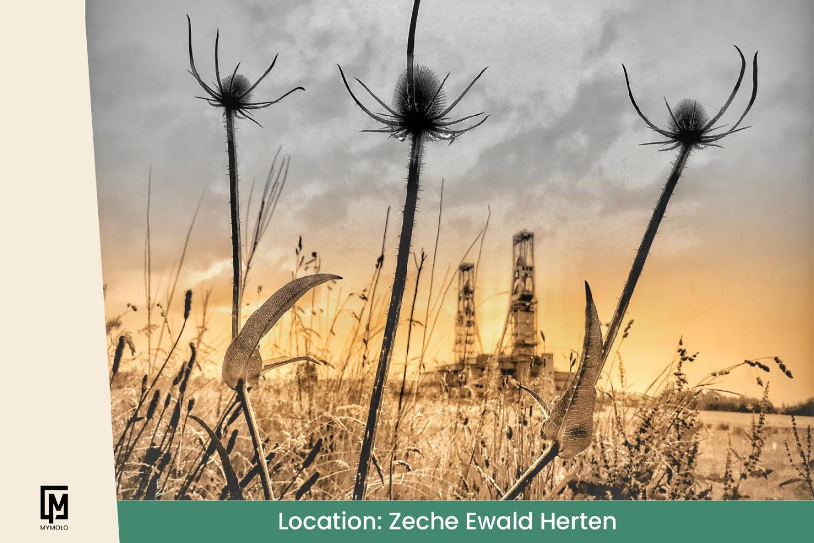 Glamping In Der Zeche Ewald Herten Хертен Экстерьер фото
